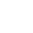 Icon: Phone
